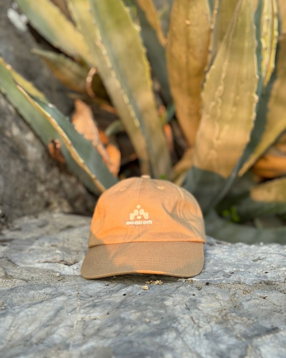 Gestyled - mit Gefühl 🌵